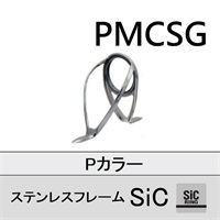 ステンレスSiC 両足ガイド/PMCSG